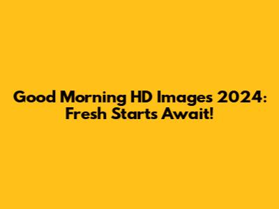 Good Morning HD Images 2024: Fresh Starts Await!