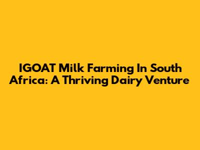 IGOAT Milk Farming In South Africa: A Thriving Dairy Venture