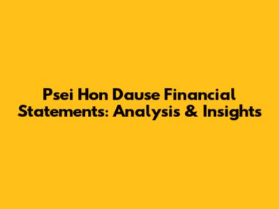 Psei Hon Dause Financial Statements: Analysis & Insights