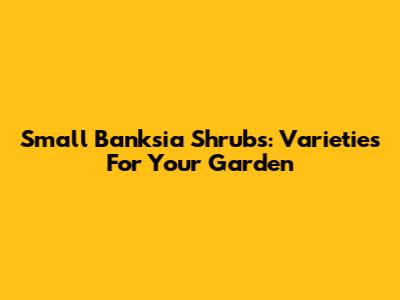 Small Banksia Shrubs: Varieties For Your Garden