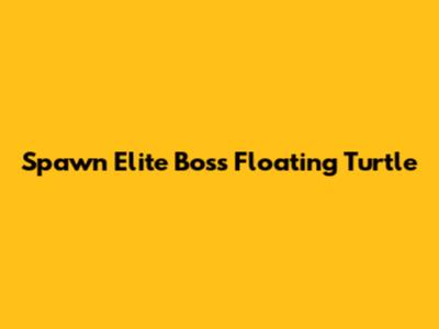 Spawn Elite Boss Floating Turtle