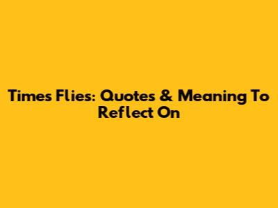 Times Flies: Quotes & Meaning To Reflect On